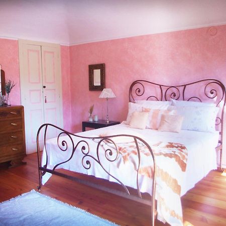 Quick Home - Magnolia Viverone Extérieur photo